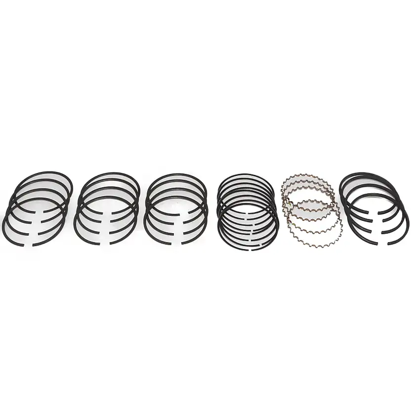 PISTON RING SET, .030" (5-ring) 421-520