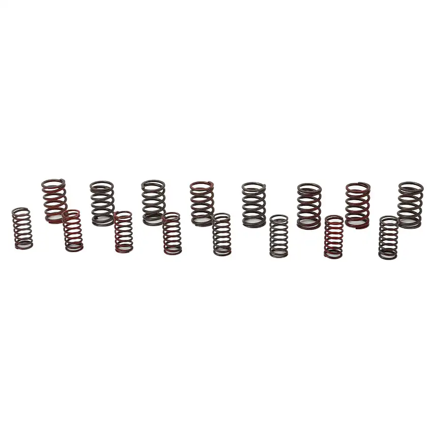 SPRING SET, valve
