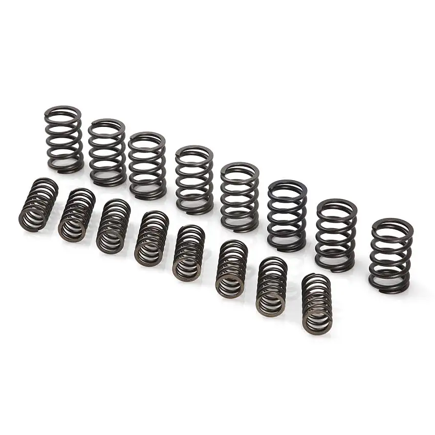 SPRING SET, valve, double, uprated (20%)