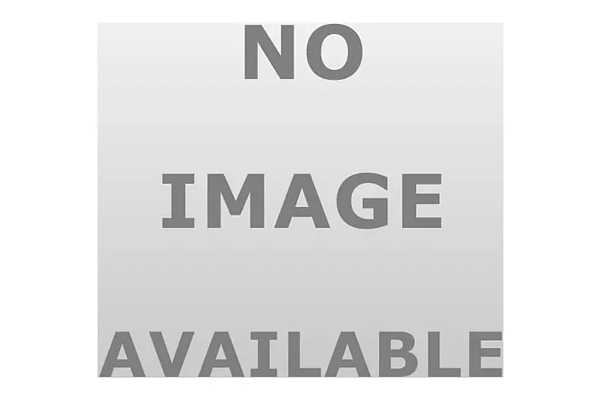 Pro Series A200S 0303 Trailer Coupler