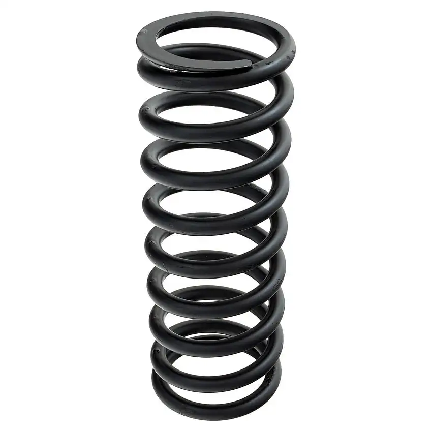 SPRING, rear C29978