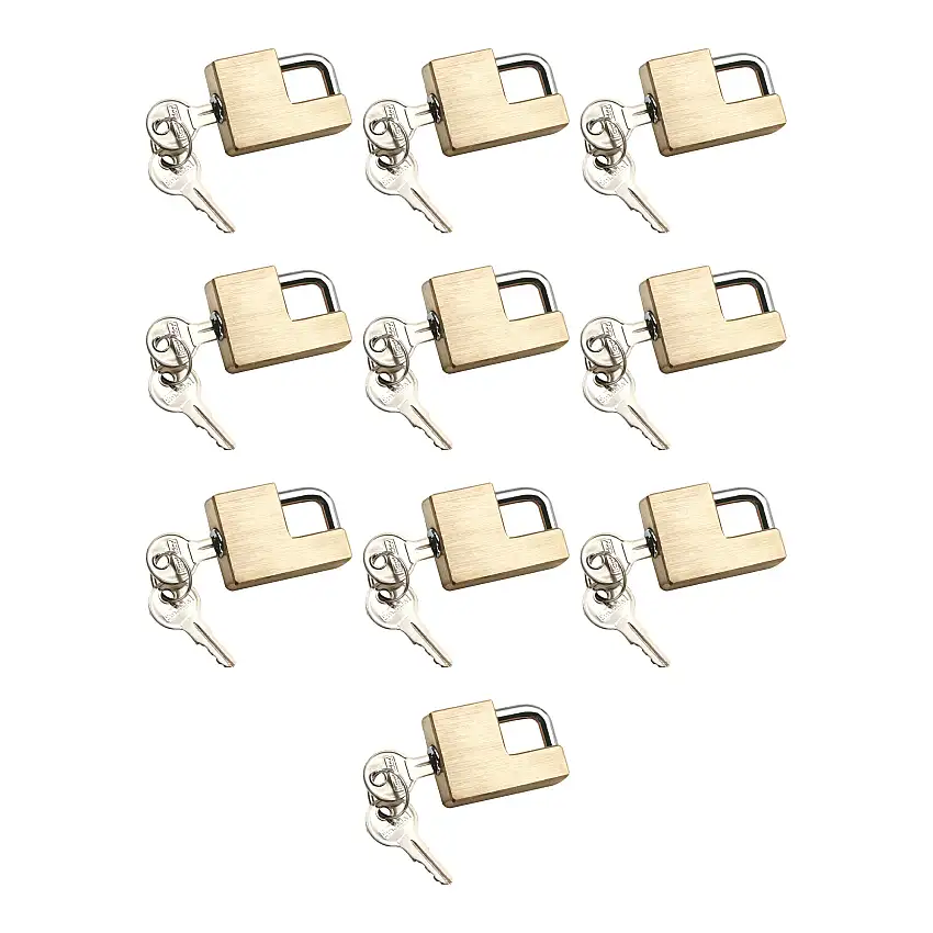 Reese Towpower (10-Pack) Trailer Coupler Lock, Adjustable, Brass