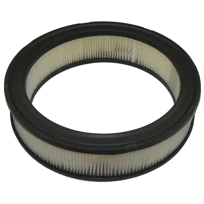 1967-76 Pontiac (All models) V8 2bbl Carb Air Cleaner Filter Element