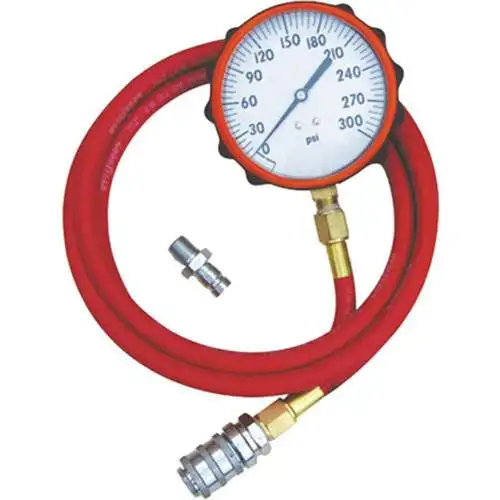 Fuel System Pressure Test Gauge - Compucheck